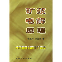 矿浆电解原理