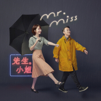 Mr. Miss：第28届金曲奖获奖组合专辑《先生小姐》内地版（京东专卖）