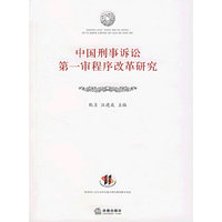 中国刑事诉讼第一审程序改革研究
