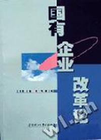 国有企业改革论