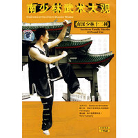 南派少林十二捶(1VCD)