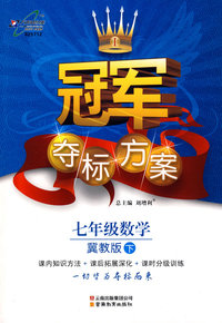 冠军夺标方案:七年级数学—冀教版（下）