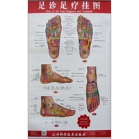 足诊足疗挂图说明书
