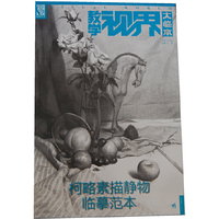 柯略素描静物临摹范本-教学视界大临本