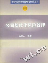 公司整体化风险管理/清华大学风险管理与保险丛书