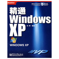 精通Windows xp