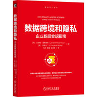 数据跨境和隐私：企业数据合规指南    [荷]兰伯特·霍根豪特     [美] 阿曼达·王