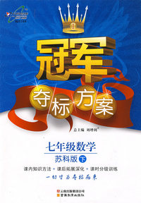 冠军夺标方案:七年级数学—苏科版（下）