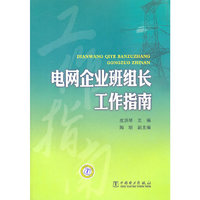 电网企业班组长工作指南