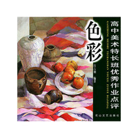 高中美术特长班优秀作业点评.色彩
