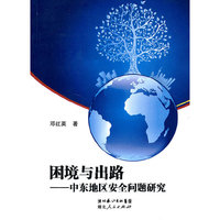 困境与出路-中东地区安全问题研究
