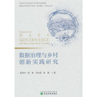 数据治理与乡村创新实践研究