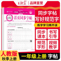 2025秋王朝霞活页字帖一年级语文人教版上册 专项训练同步字帖人教版每日一练默写本