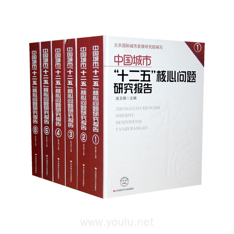 中国城市"十二五"核心问题研究报告(全六册)