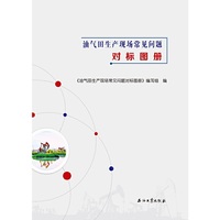 油气田生产现场常见问题对标图册