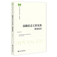 高级社会工作实务·微观临床