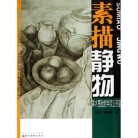 素描静物/美术基础教学技法讲座(美术基础教学技法讲座)