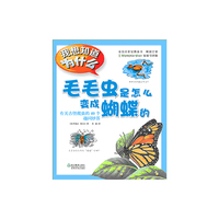 毛毛虫是怎么变成蝴蝶的-有关古怪爬虫的40个趣问妙答-我想知道为什么-17