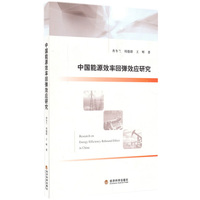 中国能源效率回弹效应研究