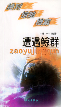 遭遇鲸群:绝对惊险档案