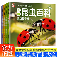 儿童昆虫百科全书全4册 3-6岁幼儿园大图大字百科全书彩图昆虫百科绘本昆虫好奇怪+昆虫有本事+昆虫真辛苦+昆虫好漂亮儿童博物大百科儿童科普揭秘昆虫世界故事绘本小学生科普百科课外阅读书