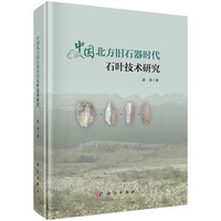 中国北方旧石器时代石叶技术研究9787030804396彭菲科学出版社