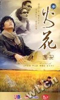 火花 28碟装(VCD)