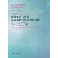 硝基苯类化合物高级氧化与生物还原处理技术研究