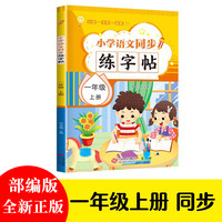 小学语文同步练字帖 小学一年级上册每日一练儿童拼音练习同步练字帖 田字格生字抄写本 天天练拼音本控笔字帖