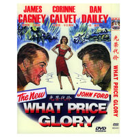 光荣代价(DVD)
