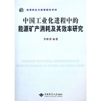 中国工业化进程中的能源矿产消耗及其效率研究