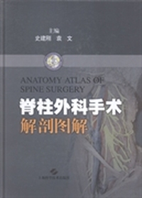 脊柱外科手术解剖图解