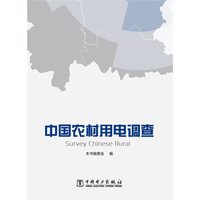 中国农村用电调查