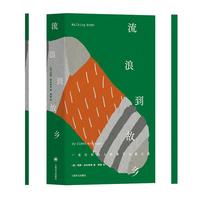 流浪到故乡