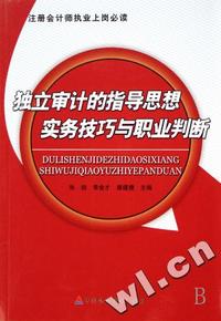 独立审计的指导思想实务技巧与职业判断(注册会计师执业上岗必读)
