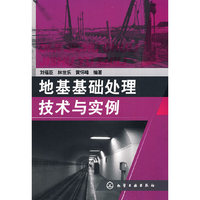 地基基础处理技术与实例