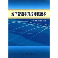 地下管道非开挖修复技术