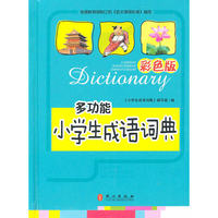 多功能 小学生成语词典 彩色版