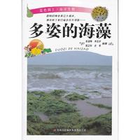 多姿的海藻