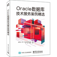 Oracle数据库技术服务案例精选