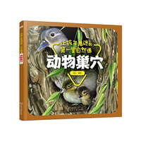 让孩子着迷的第一堂自然课——动物巢穴