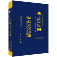 涪陵北岩墓群--2001~2008年度考古发掘报告