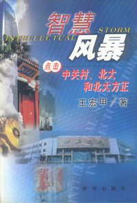 智慧风暴：点击中关村、北大和北大方正