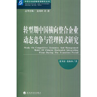 转型期中国横向整合企业动态竞争与管理模式研究