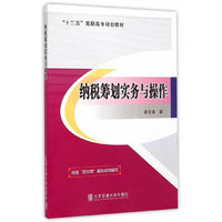 纳税筹划实务与操作