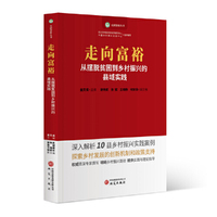 走向富裕：从摆脱贫困到乡村振兴的实践探索