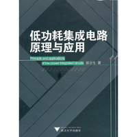 低功耗集成电路原理与应用