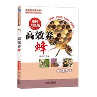 高效养蜂 视频升级版