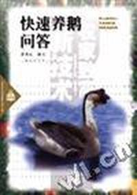 快速养鹅问答