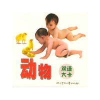 动物双语大卡